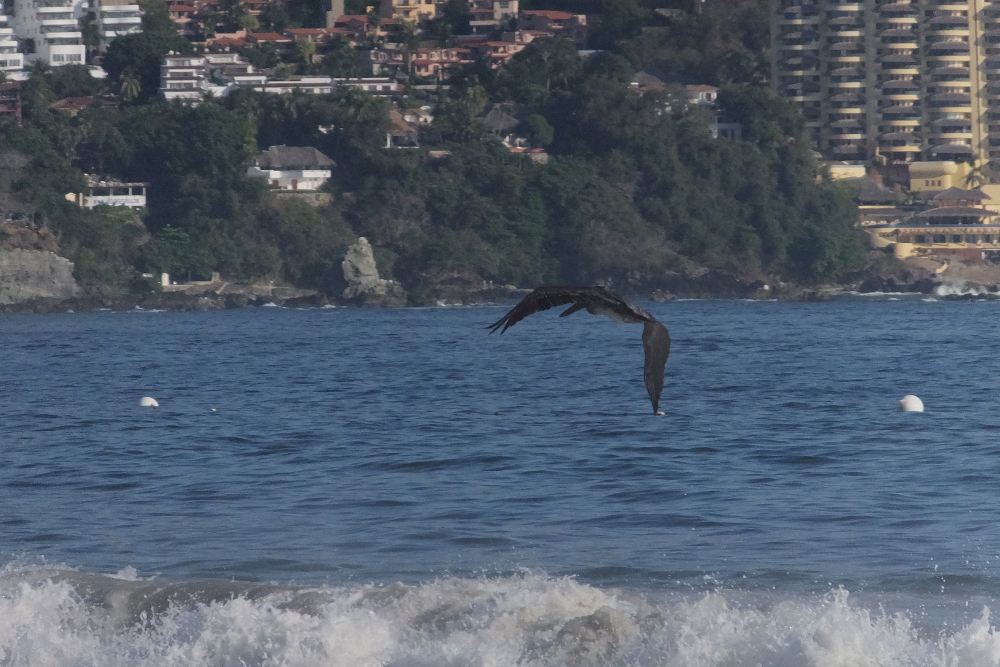 Ixtapa Snapshots