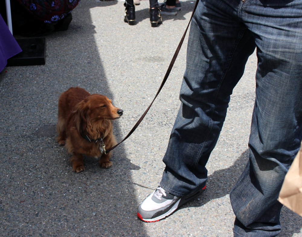 Treasure Island Flea