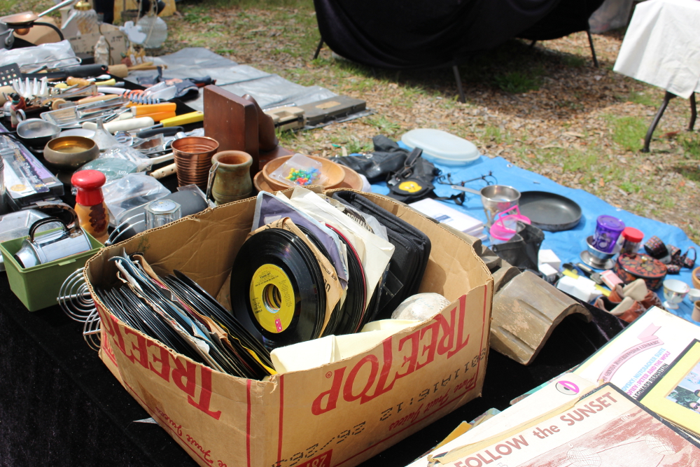 Treasure Island Flea