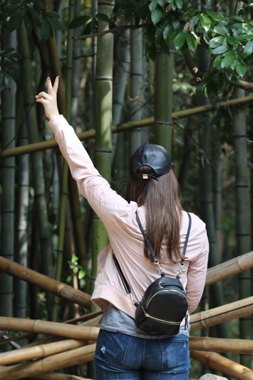 bamboo forest kyoto japan