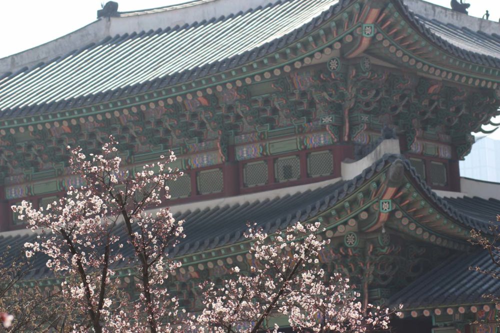 changdeokgung palace in seoul, south korea