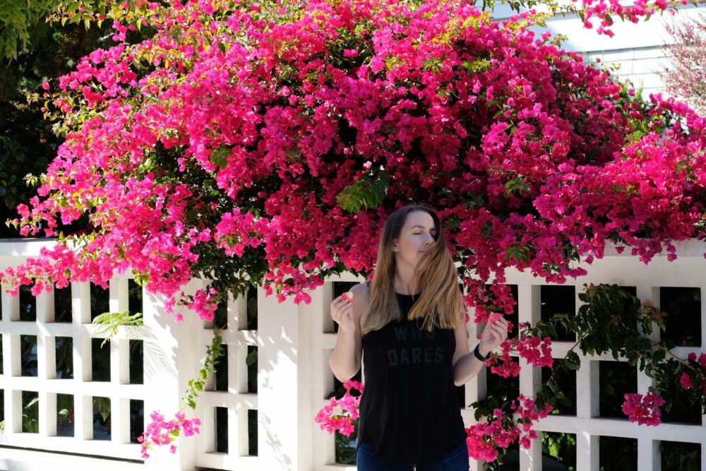 san francisco bougainvillea flowers