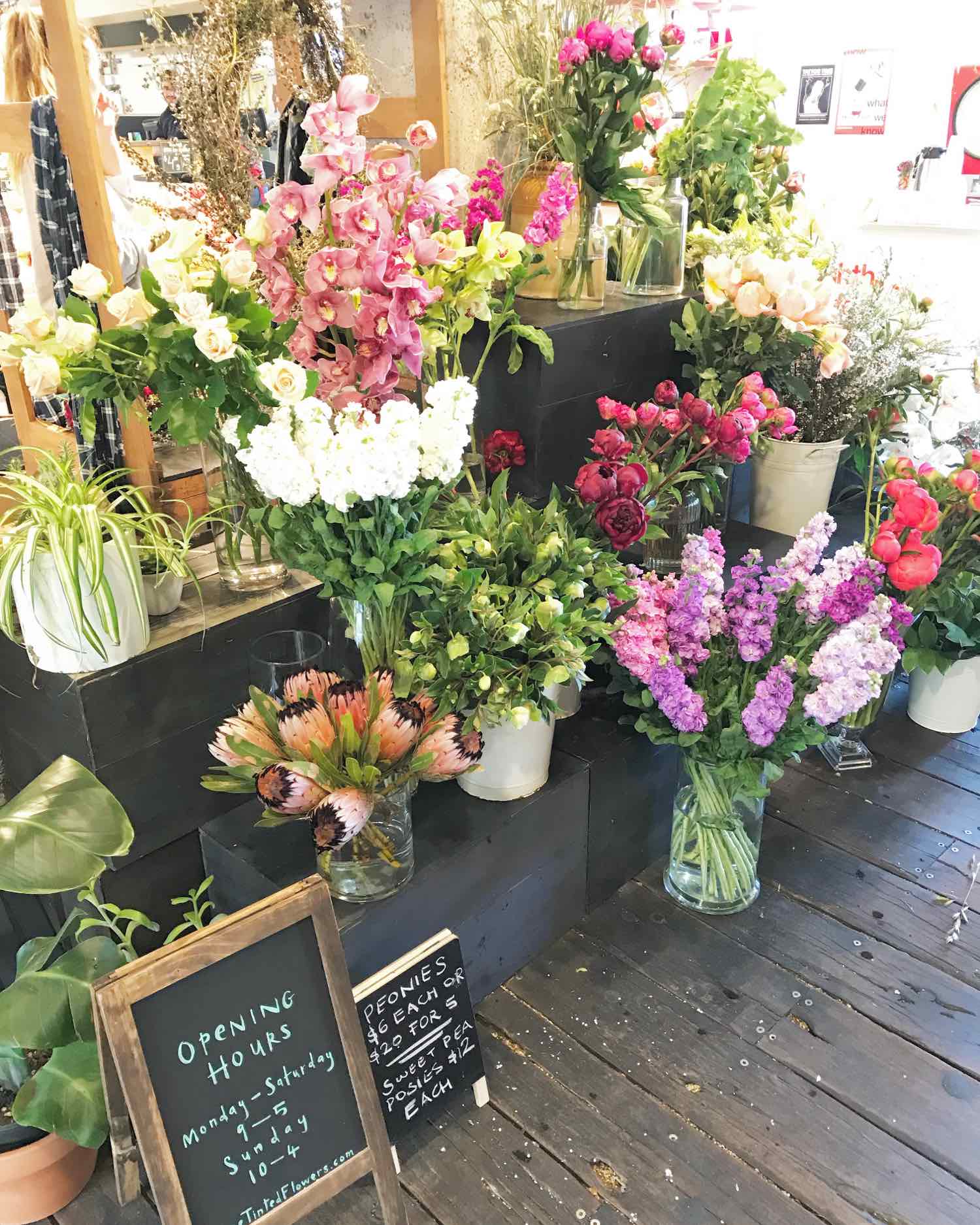 Flower Stand in Ponsonby Central Auckland