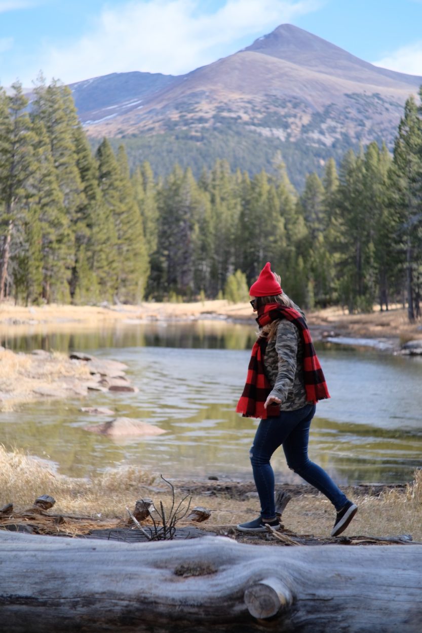 Fall Colors in Tuolumne County