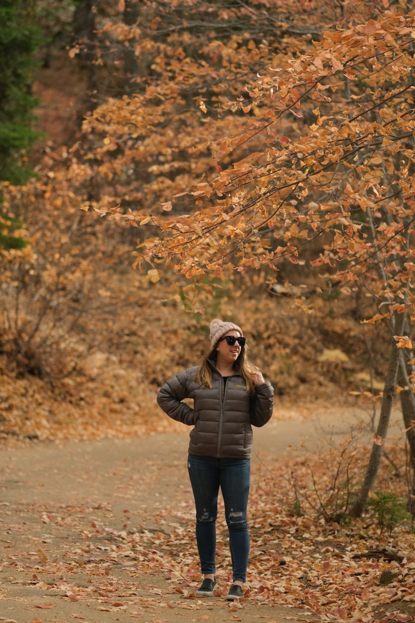 Fall Colors in Tuolumne Grove of Giant Sequoias