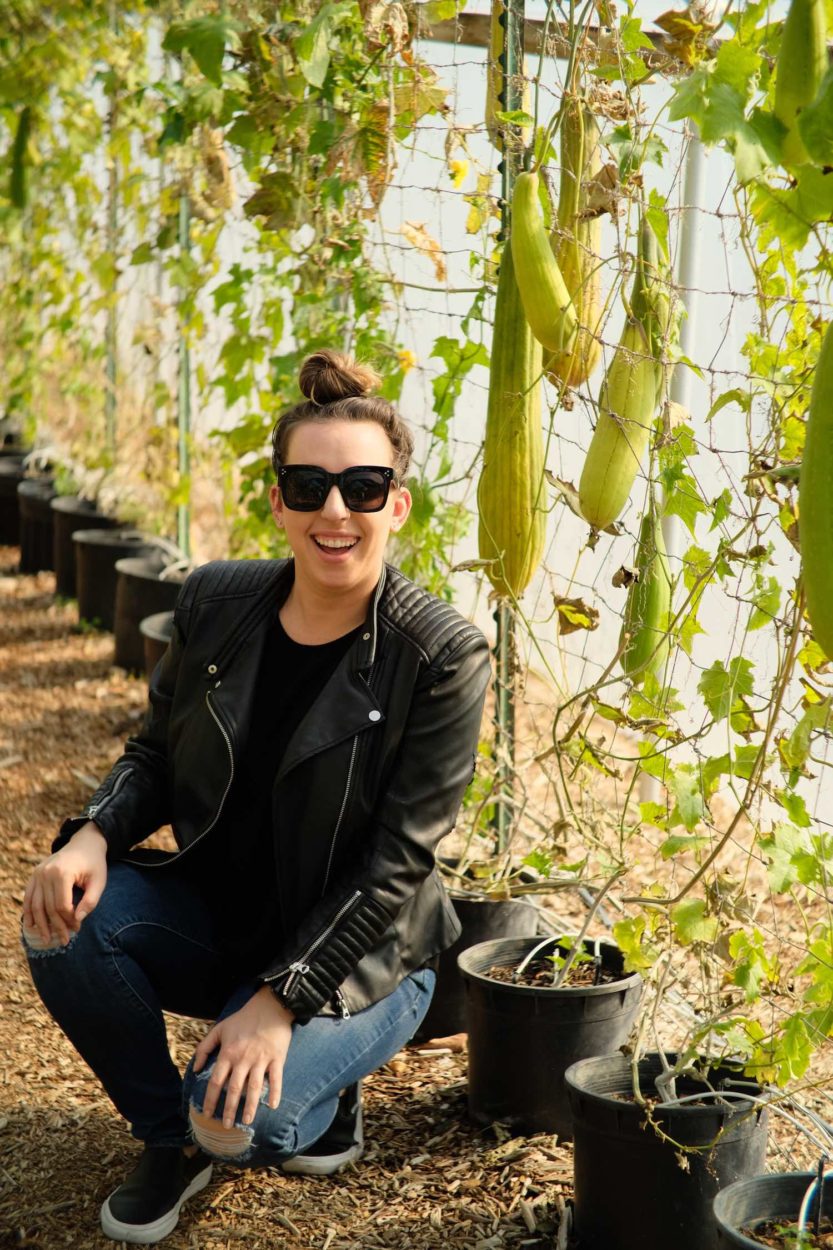 Santa Maria Valley Luffa Farm with Free Tours