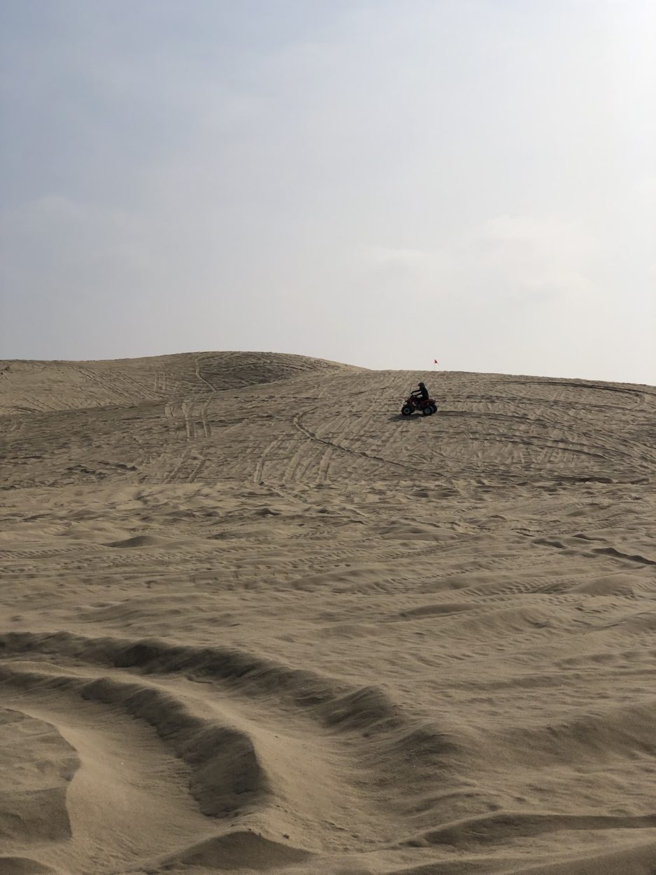 Steve's ATVs on Oceano Dunes