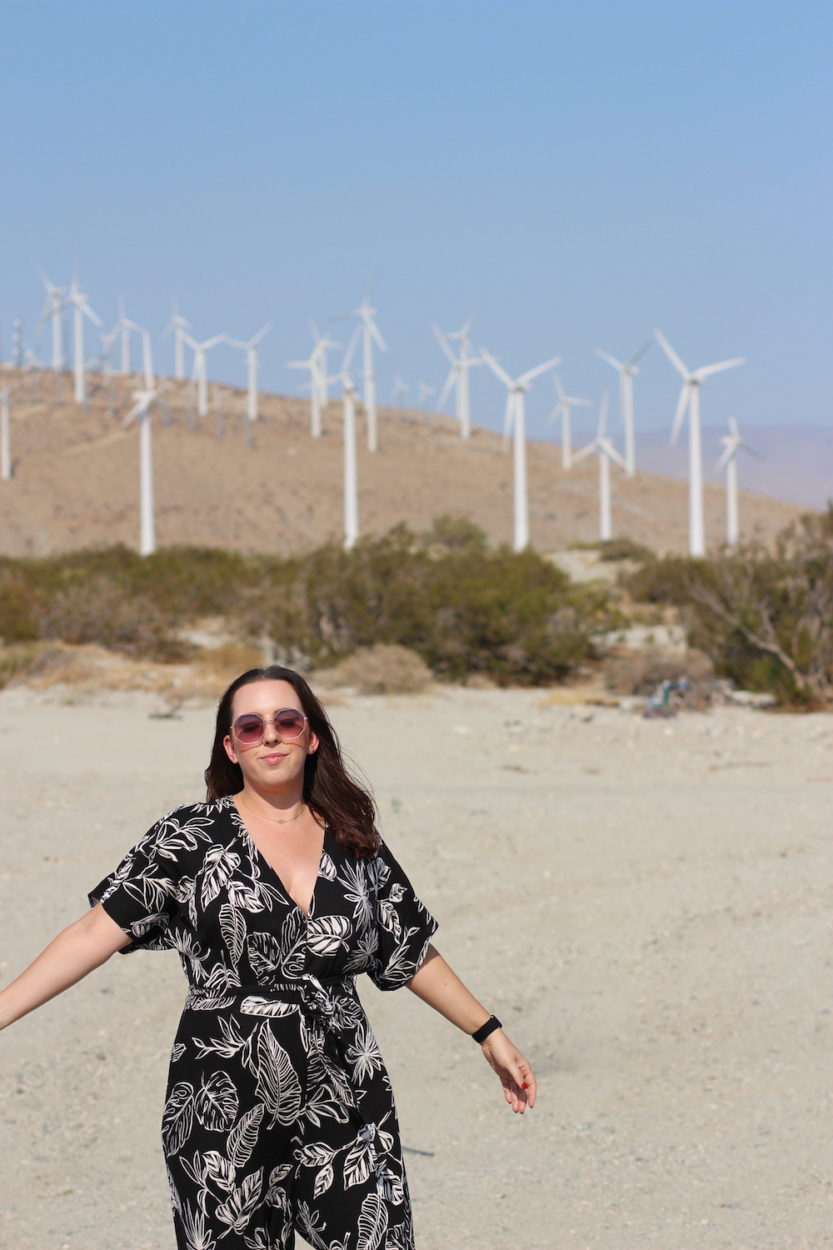 How To Spend 3 Days in Palm Springs - Palm Springs Wind Turbines