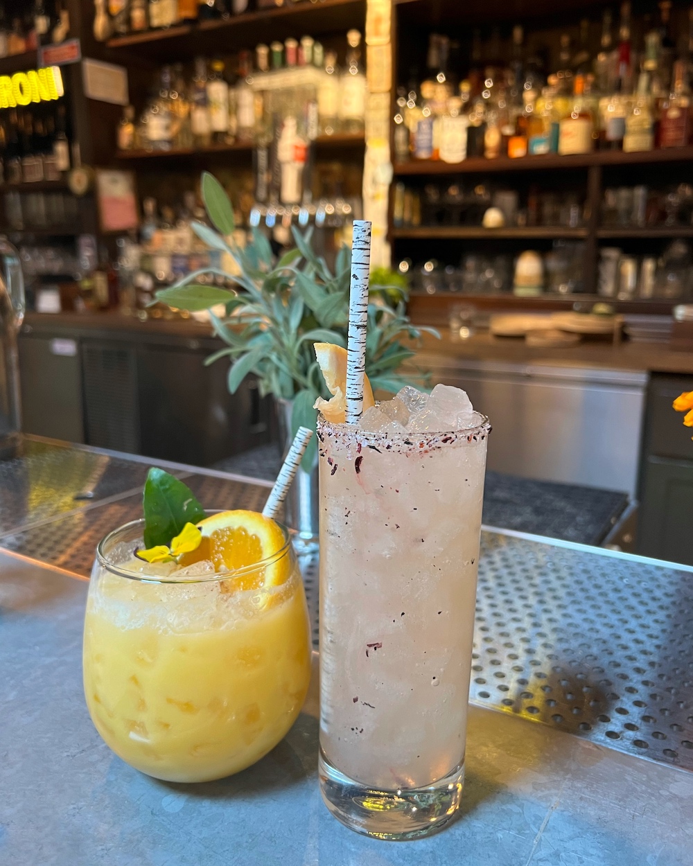 Best Healdsburg Cocktails - Lo and Behold