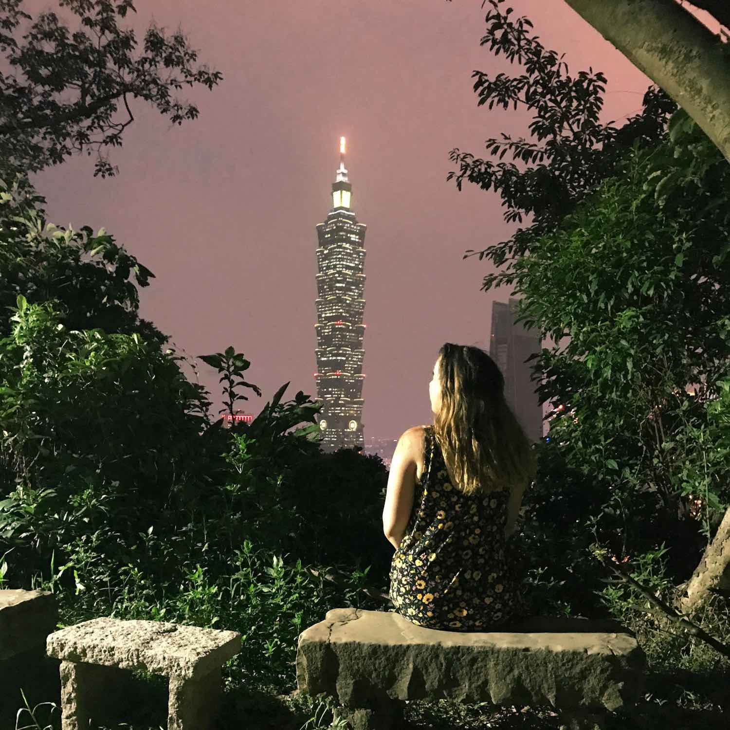 taipei 101 view from elephant mountain at night