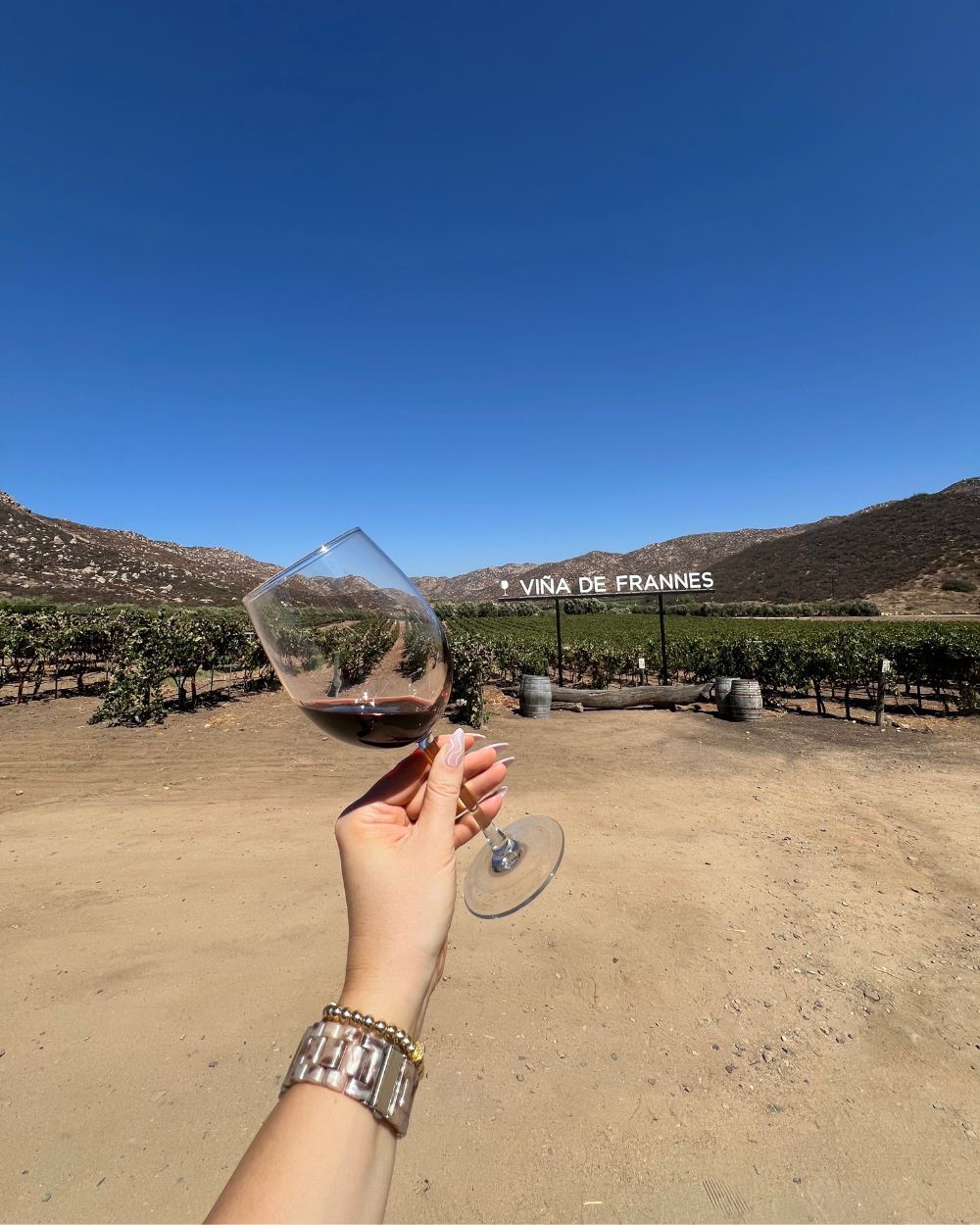 Valle de Guadalupe Day Trip - Vina de Frannes