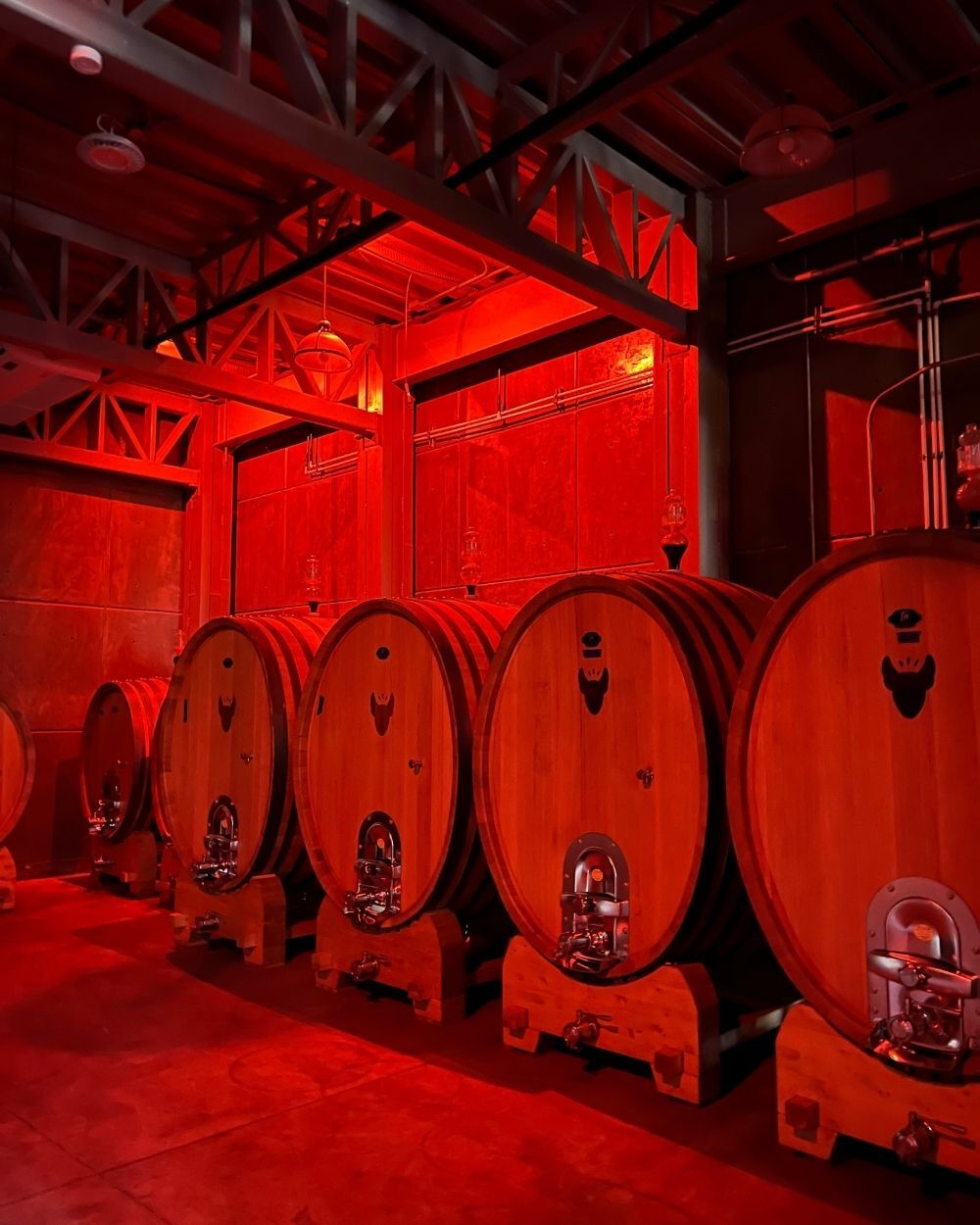 Valle de Guadalupe Day Trip - Xolo Vino