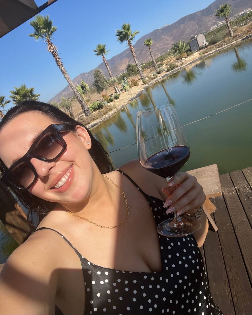Valle de Guadalupe Day Trip from San Diego - Xolo Vino
