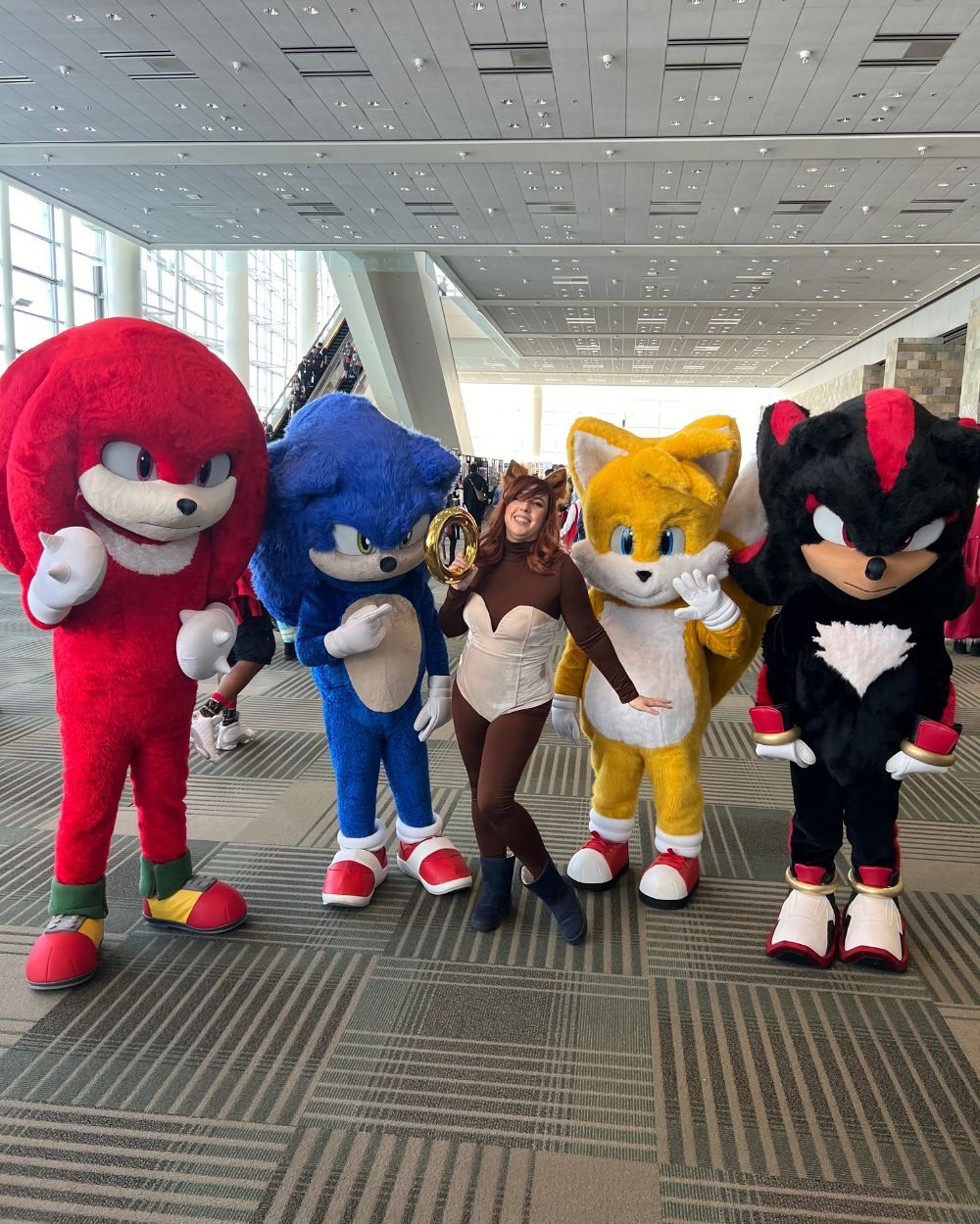 Sonic The Hedgehog Sally Acorn Cosplay